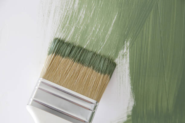 Reliable Linden, TN Mold Removal Solutions