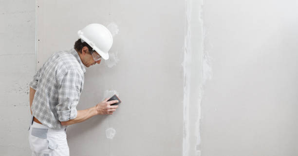 Best Black Mold Removal  in Linden, TN