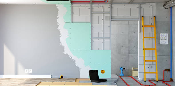 Best Attic Mold Removal  in Linden, TN