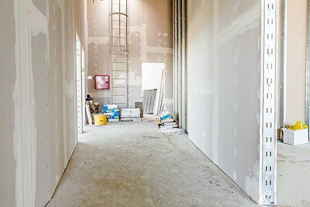 Best Real Estate Mold Inspection  in Linden, TN