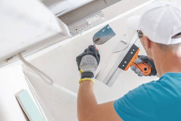 Best Dehumidification Services  in Linden, TN